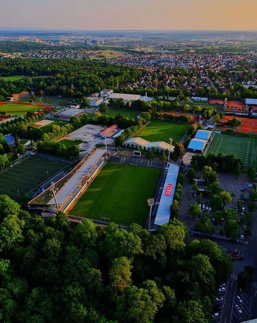 競爭中脫穎 競爭中脫穎