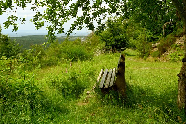 断创新打法 断创新打法