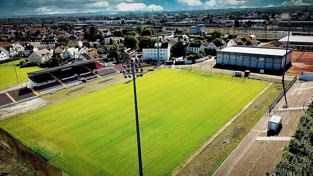 州的斯帕坦 州的斯帕坦