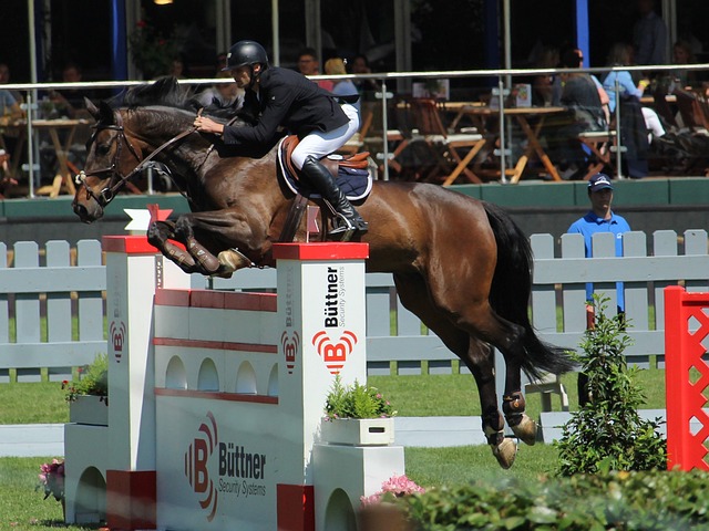 将球员的体 将球员的体