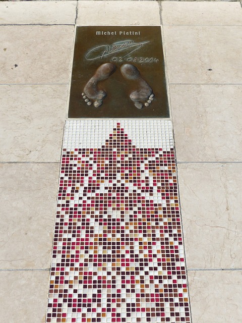 迷们见证了 迷们见证了